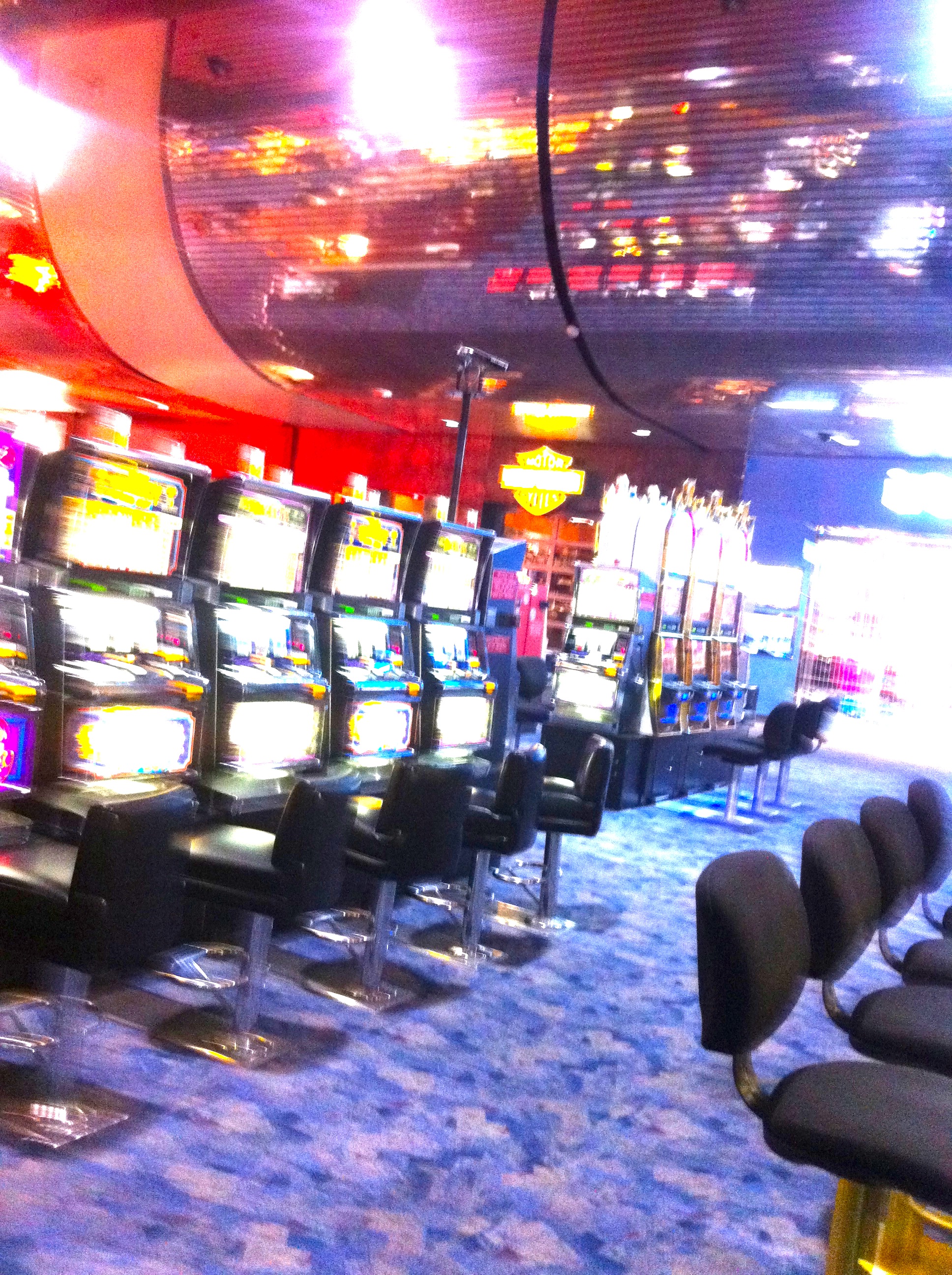 img_1112.jpg?w=980\u0026h=1312