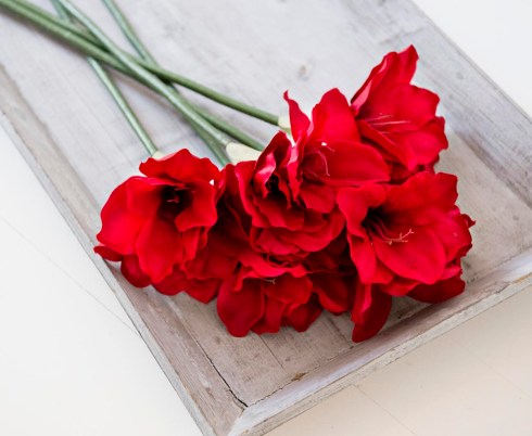 20121029 HELSINKI. vanessa kurri ilonaan. KUVA PASI LIESIMAA/IL