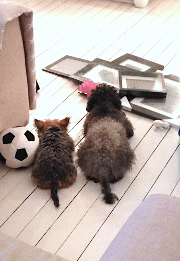 Kuvankaappaus 2013-5-8 kello 0.01.20